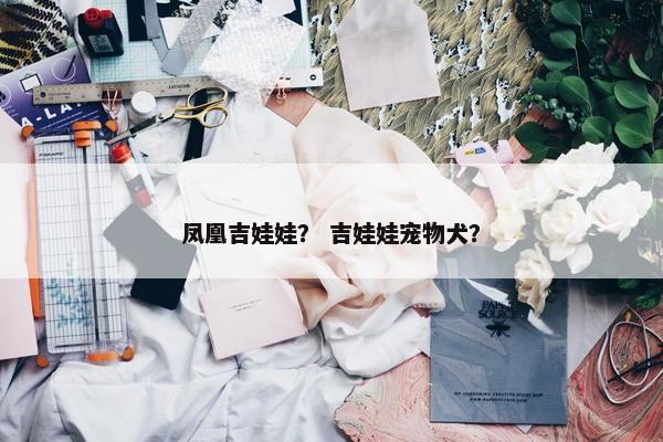 凤凰吉娃娃？ 吉娃娃宠物犬？
