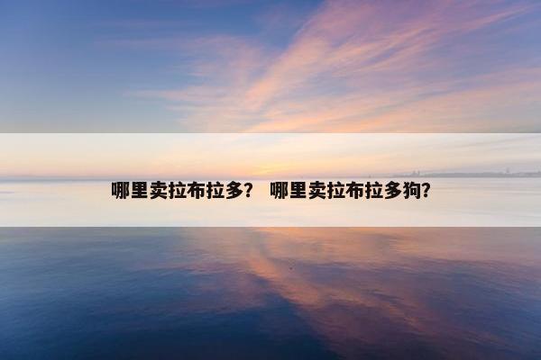 哪里卖拉布拉多？ 哪里卖拉布拉多狗？