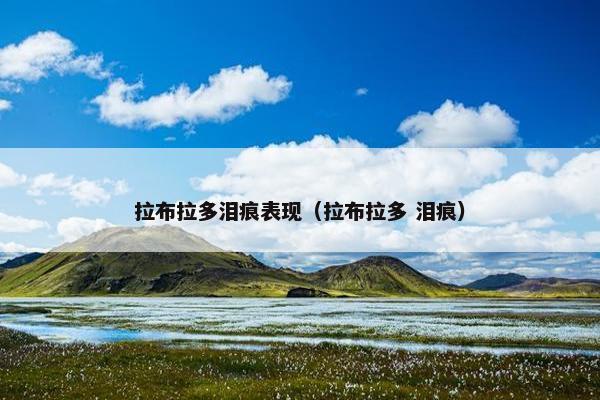 拉布拉多泪痕表现（拉布拉多 泪痕）