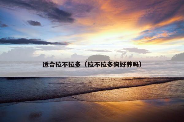 适合拉不拉多（拉不拉多狗好养吗）