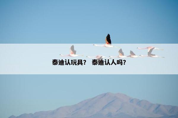 泰迪认玩具？ 泰迪认人吗？