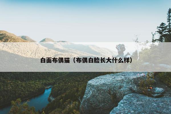 白面布偶猫（布偶白脸长大什么样）