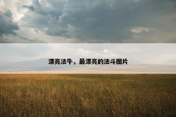 漂亮法牛，最漂亮的法斗图片