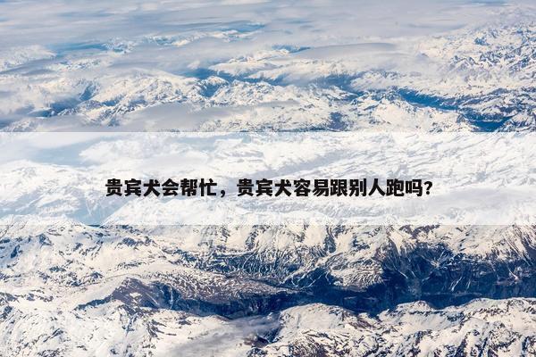 贵宾犬会帮忙，贵宾犬容易跟别人跑吗?