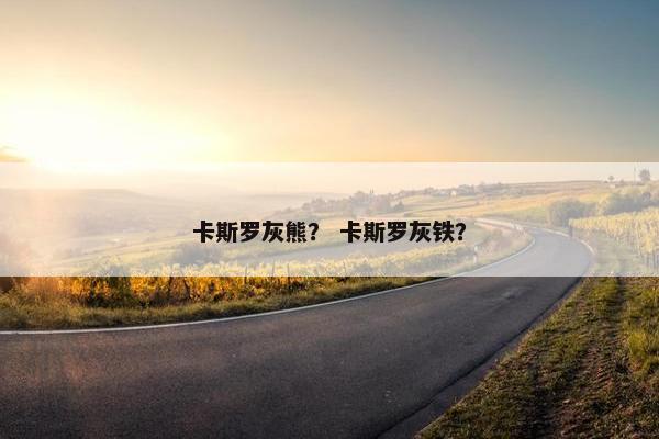 卡斯罗灰熊？ 卡斯罗灰铁？