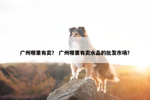广州哪里有卖？ 广州哪里有卖水晶的批发市场？