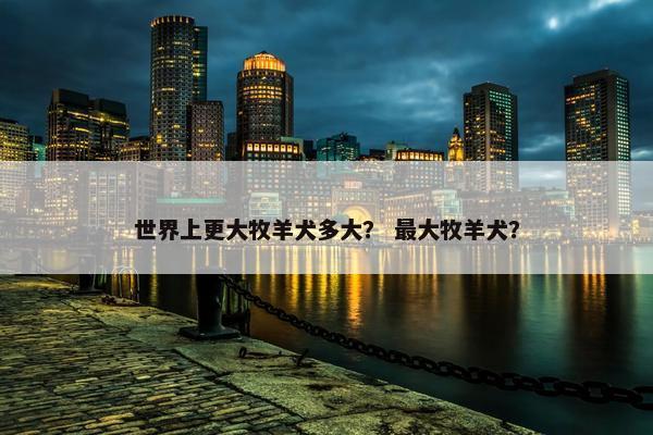 世界上更大牧羊犬多大？ 最大牧羊犬？