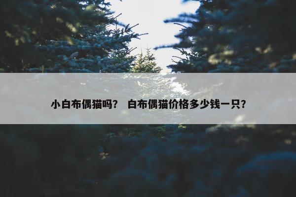 小白布偶猫吗？ 白布偶猫价格多少钱一只？