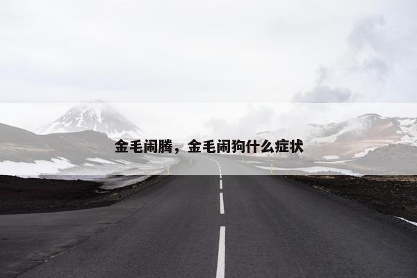 金毛闹腾，金毛闹狗什么症状