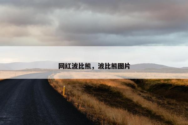 网红波比熊,波比熊图片 网红波比熊,波比熊图片