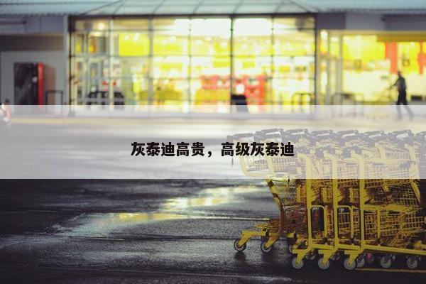 灰泰迪高贵，高级灰泰迪