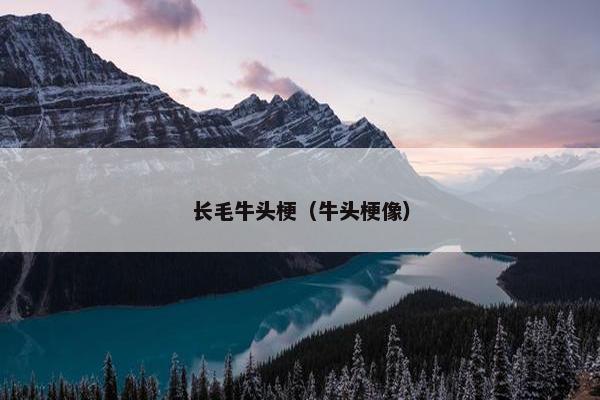长毛牛头梗（牛头梗像）