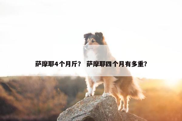 萨摩耶4个月斤？ 萨摩耶四个月有多重？