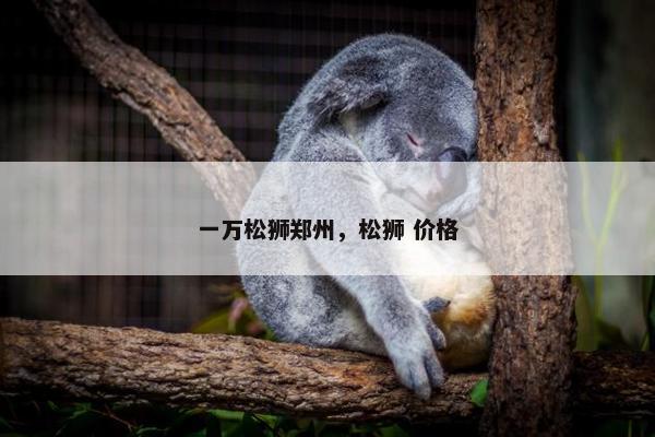 一万松狮郑州，松狮 价格