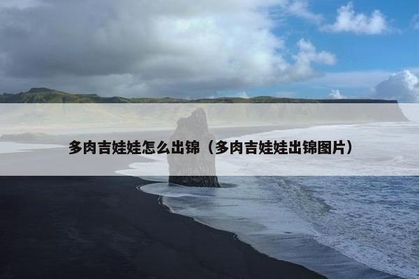多肉吉娃娃怎么出锦（多肉吉娃娃出锦图片）