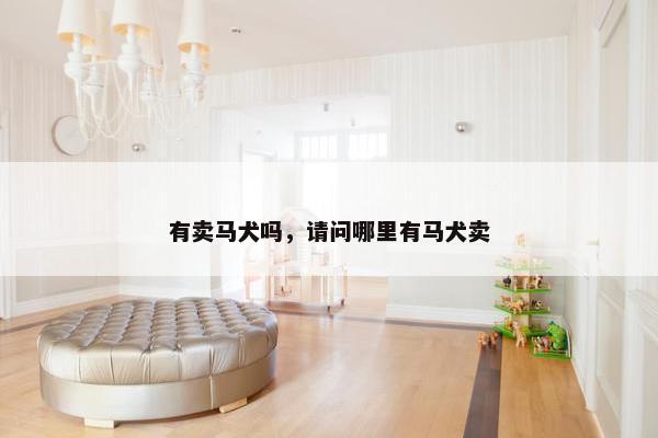 有卖马犬吗，请问哪里有马犬卖