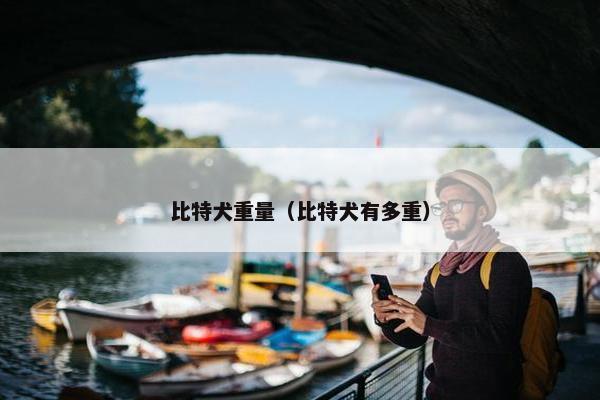 比特犬重量（比特犬有多重）