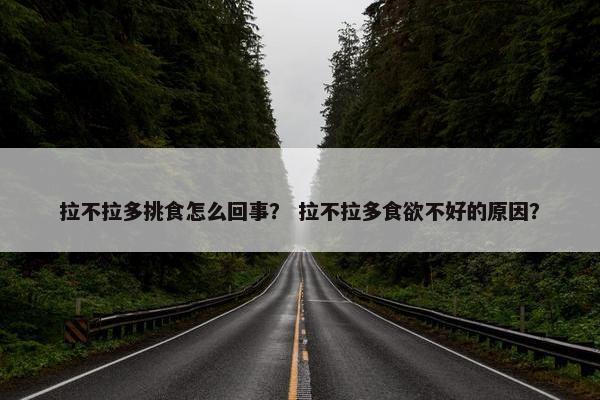 拉不拉多挑食怎么回事？ 拉不拉多食欲不好的原因？