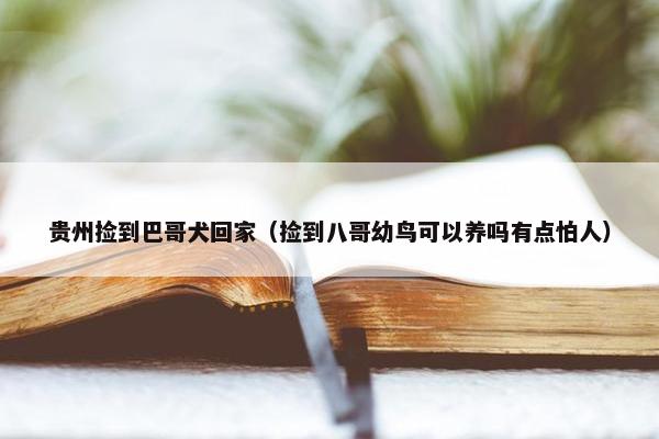 贵州捡到巴哥犬回家（捡到八哥幼鸟可以养吗有点怕人）