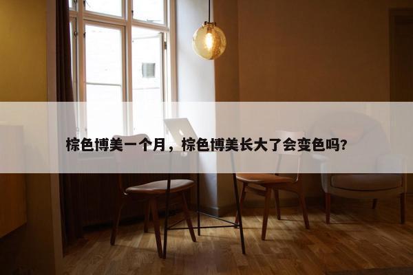 棕色博美一个月，棕色博美长大了会变色吗?