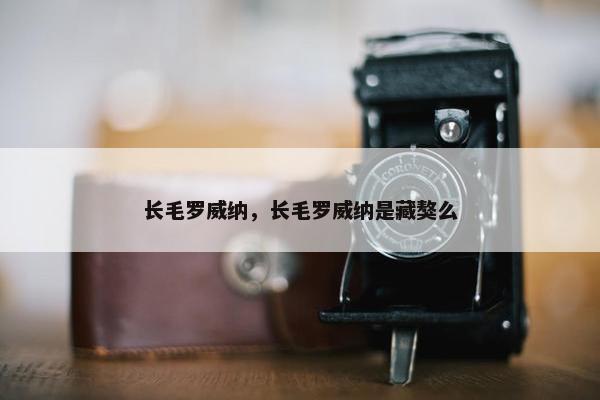 长毛罗威纳，长毛罗威纳是藏獒么
