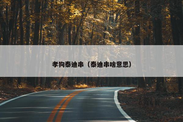 孝狗泰迪串（泰迪串啥意思）