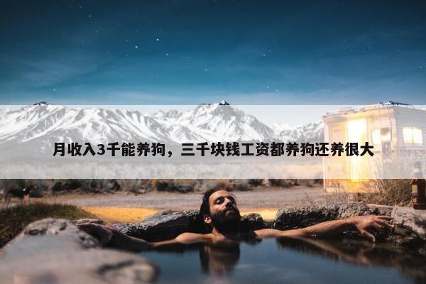 月收入3千能养狗，三千块钱工资都养狗还养很大