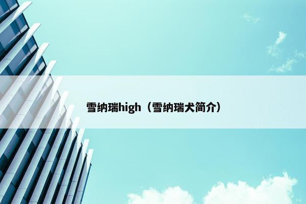 雪纳瑞high（雪纳瑞犬简介）