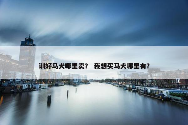训好马犬哪里卖？ 我想买马犬哪里有？