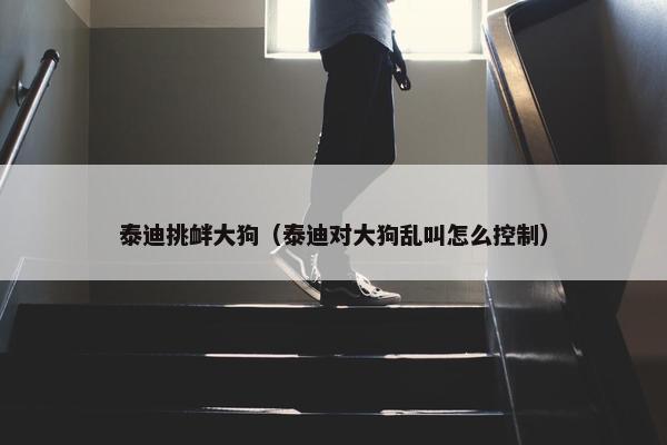 泰迪挑衅大狗（泰迪对大狗乱叫怎么控制）