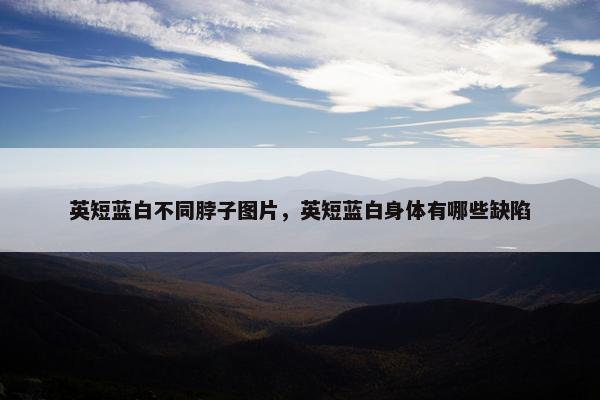 英短蓝白不同脖子图片，英短蓝白身体有哪些缺陷