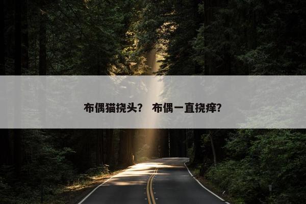 布偶猫挠头？ 布偶一直挠痒？