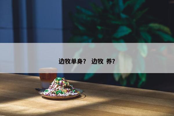 边牧单身？ 边牧 养？