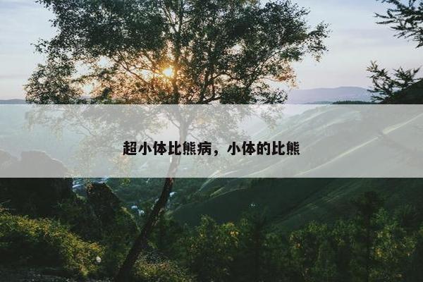 超小体比熊病，小体的比熊
