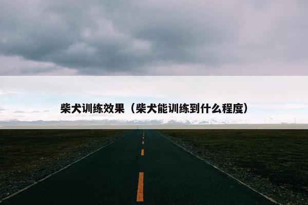 柴犬训练效果（柴犬能训练到什么程度）