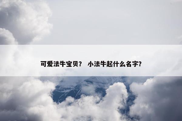 可爱法牛宝贝？ 小法牛起什么名字？