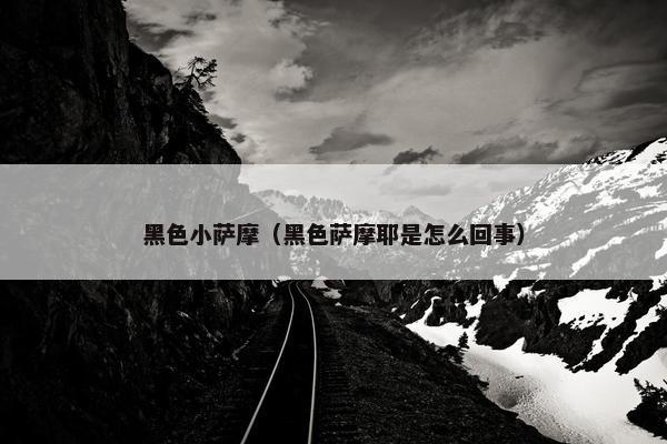 黑色小萨摩（黑色萨摩耶是怎么回事）