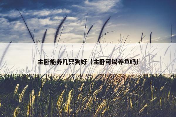 主卧能养几只狗好（主卧可以养鱼吗）