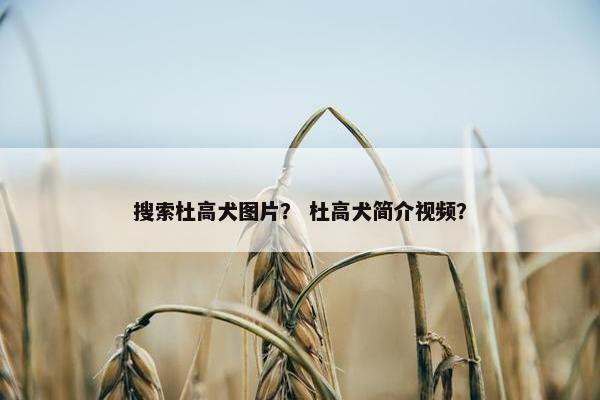 搜索杜高犬图片？ 杜高犬简介视频？