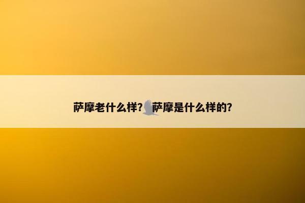 萨摩老什么样？ 萨摩是什么样的？