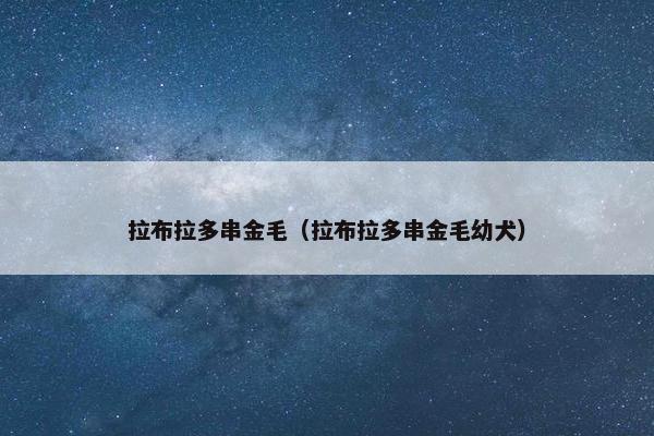 拉布拉多串金毛（拉布拉多串金毛幼犬）