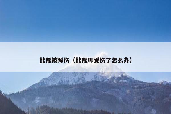 比熊被踩伤（比熊脚受伤了怎么办）