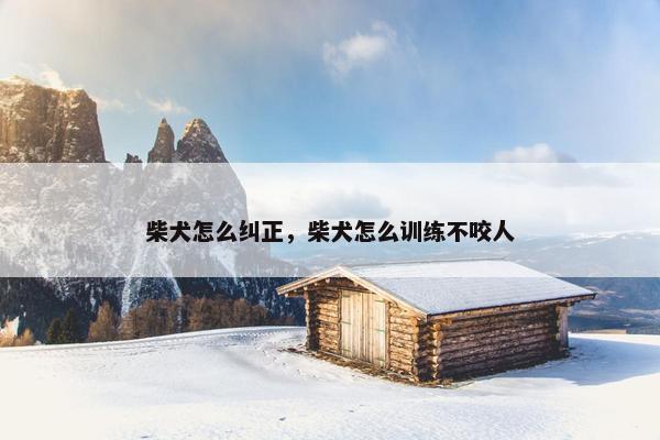 柴犬怎么纠正，柴犬怎么训练不咬人
