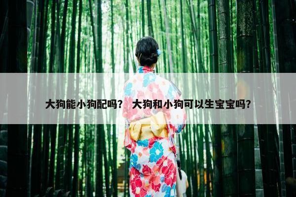 大狗能小狗配吗？ 大狗和小狗可以生宝宝吗？