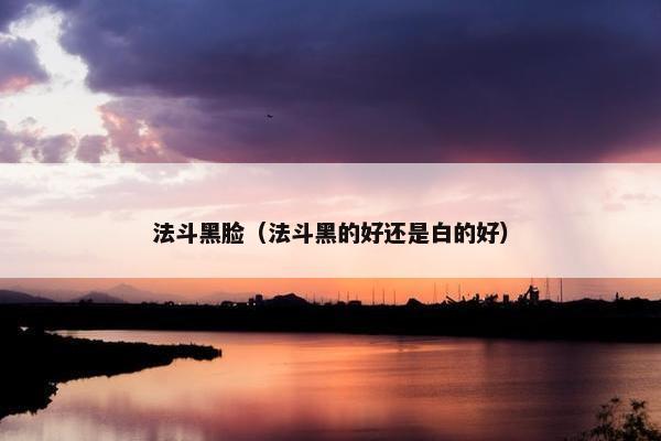 法斗黑脸（法斗黑的好还是白的好）