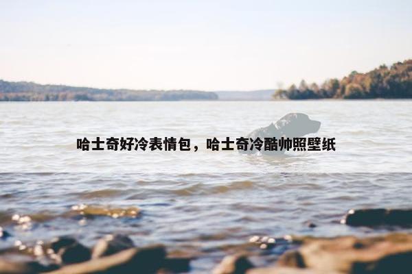 哈士奇好冷表情包，哈士奇冷酷帅照壁纸