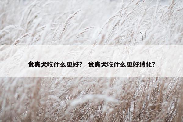 贵宾犬吃什么更好？ 贵宾犬吃什么更好消化？