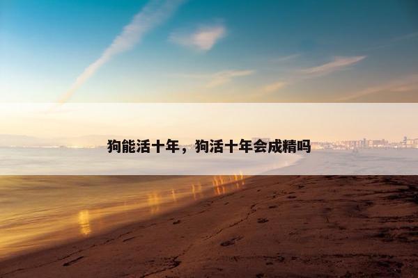 狗能活十年，狗活十年会成精吗