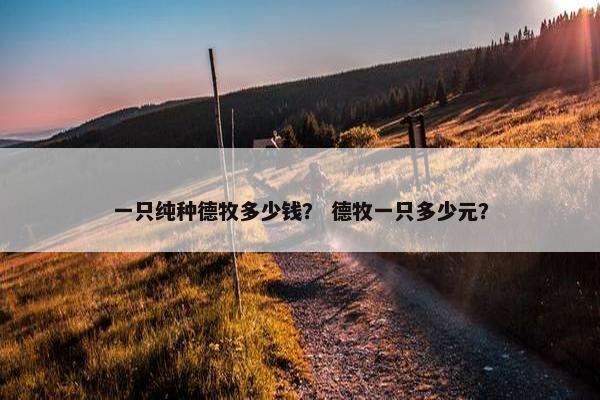一只纯种德牧多少钱？ 德牧一只多少元？