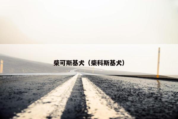 柴可斯基犬（柴科斯基犬）